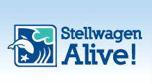 Stell Wagen Sweep Logo 